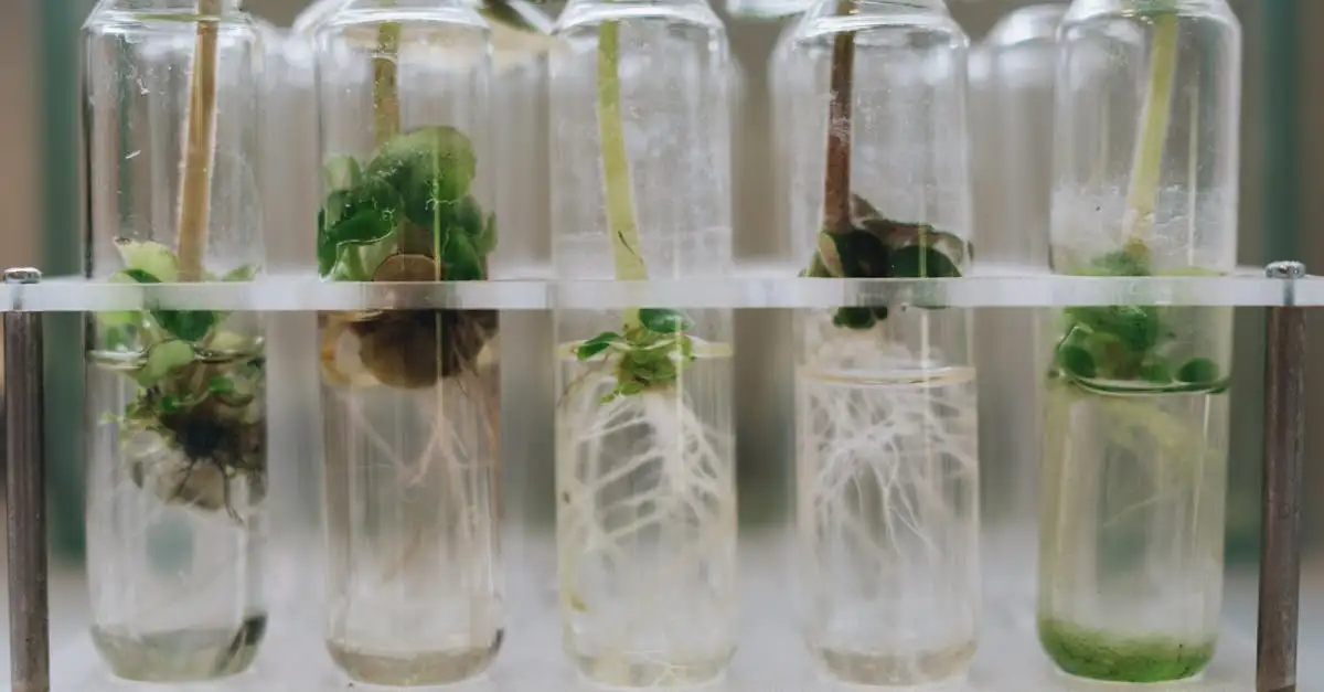 Biologische technologie: innovatie voor een duurzame toekomst