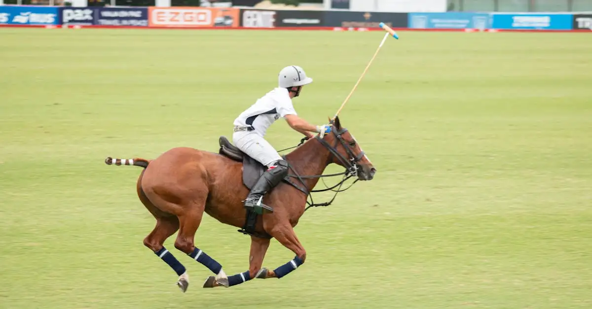 Sport polo kopen? Stijlvolle en comfortabele sportpolo’s