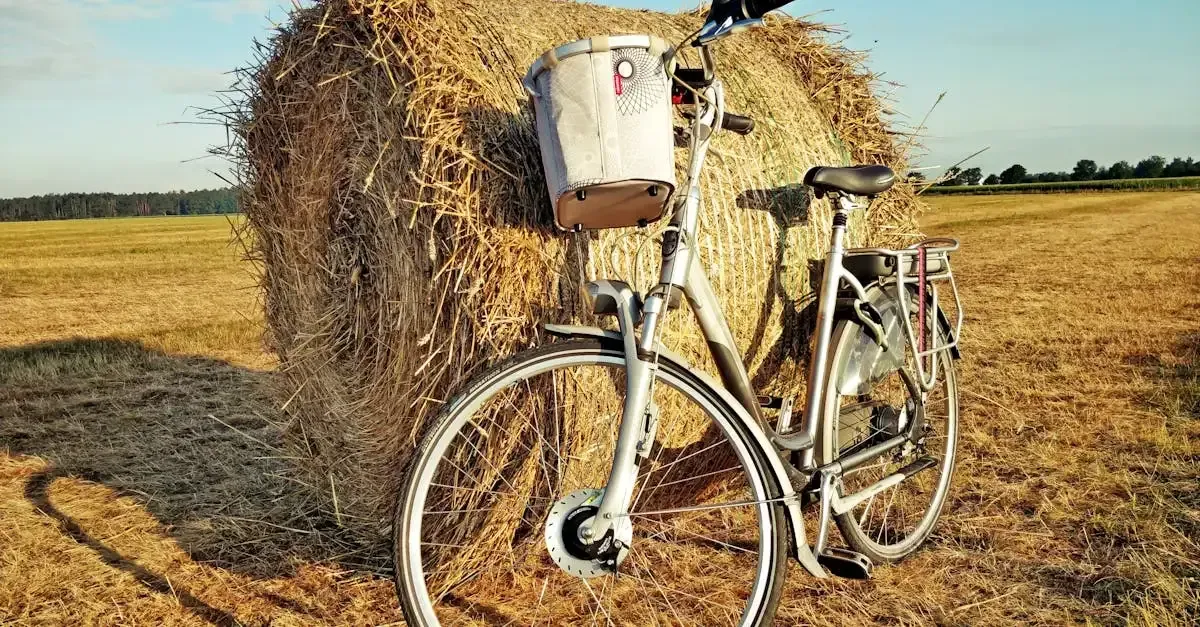 Zakelijke fiets en de Belastingdienst: alles wat u moet