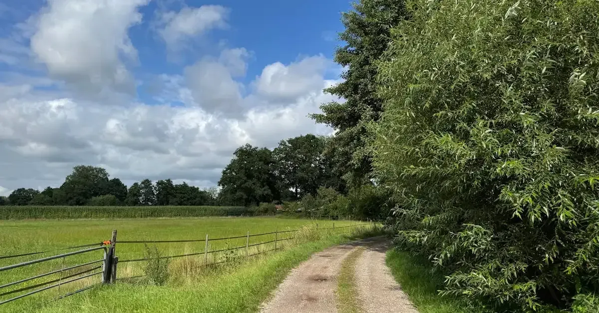 Zakelijke kilometers declareren en vergoeden in Nederland
