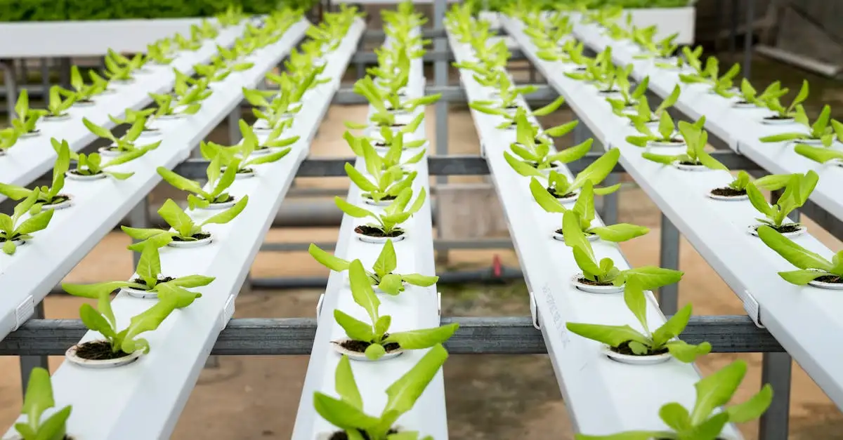 Vakexpert teelt en groene technologie