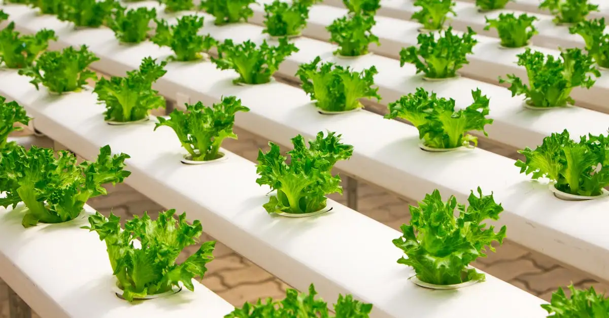 Vakexpert teelt en groene technologie