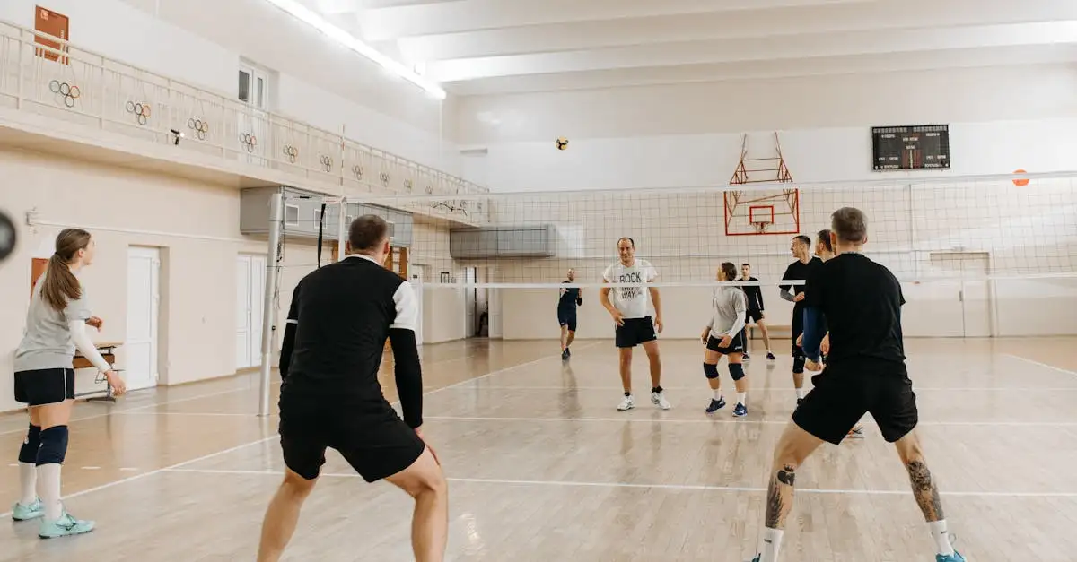 Volleybal: Alles over de sport en training