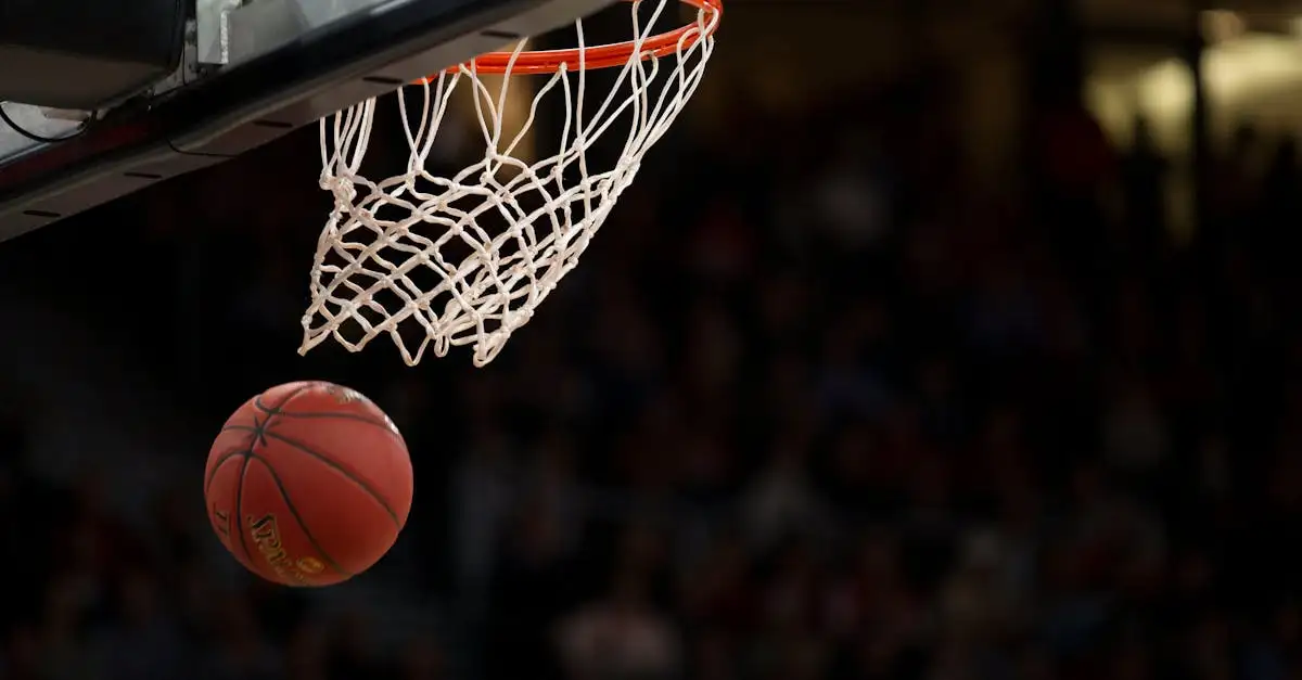 Basketball Euro: Nieuws, uitslagen en standen van de