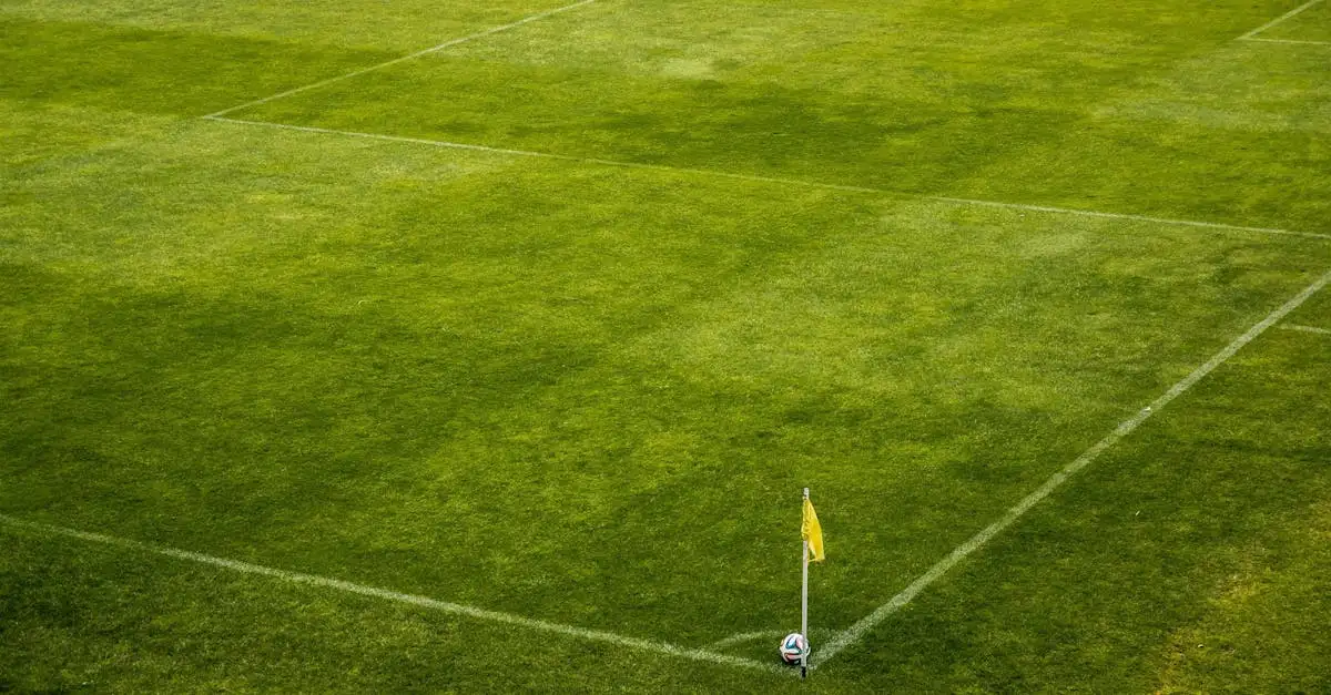 City Sporting: Ontdek de leukste sportactiviteiten in de