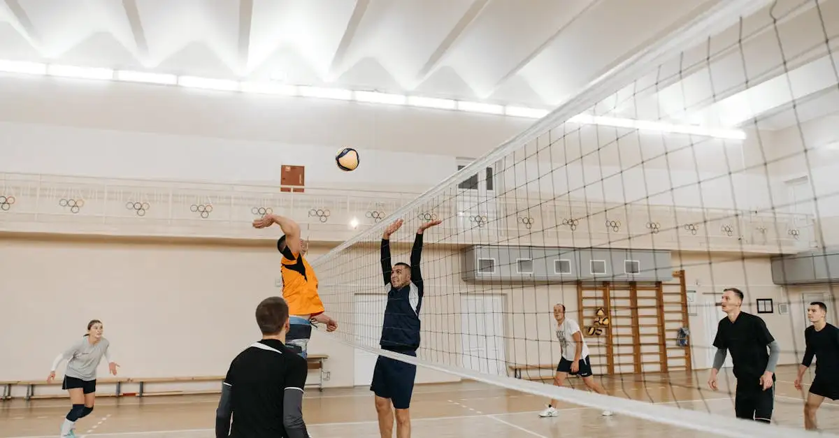 Livescore volleybal uitslagen en standen direct volgen