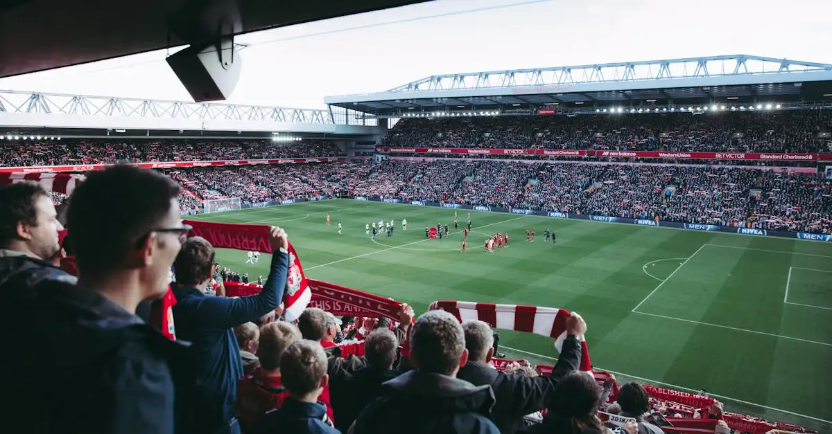 Ontdek uw lokale sport team en word fan vandaag